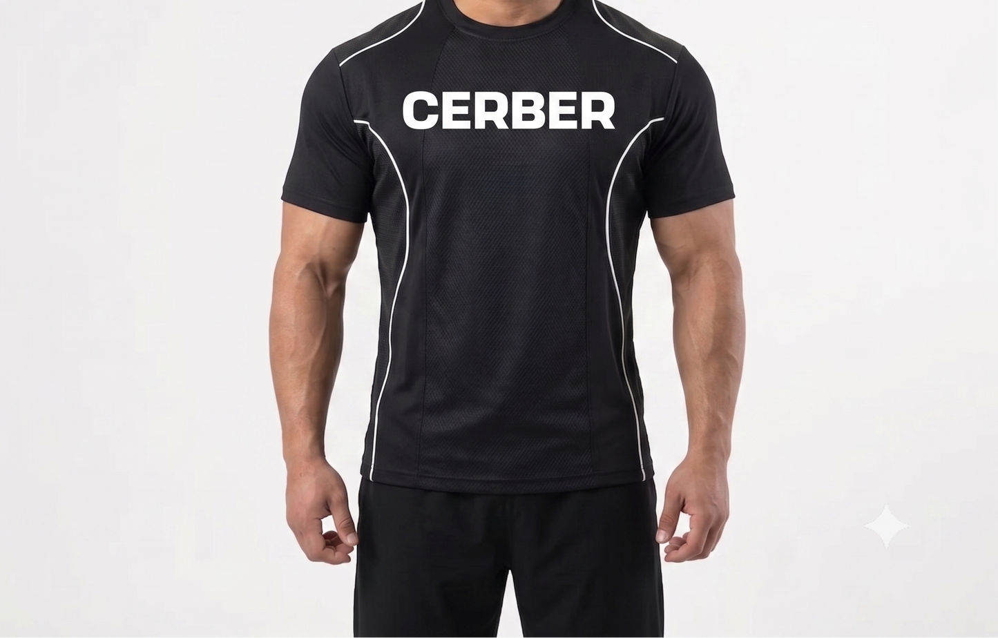 Cerber™ VELOCITY
