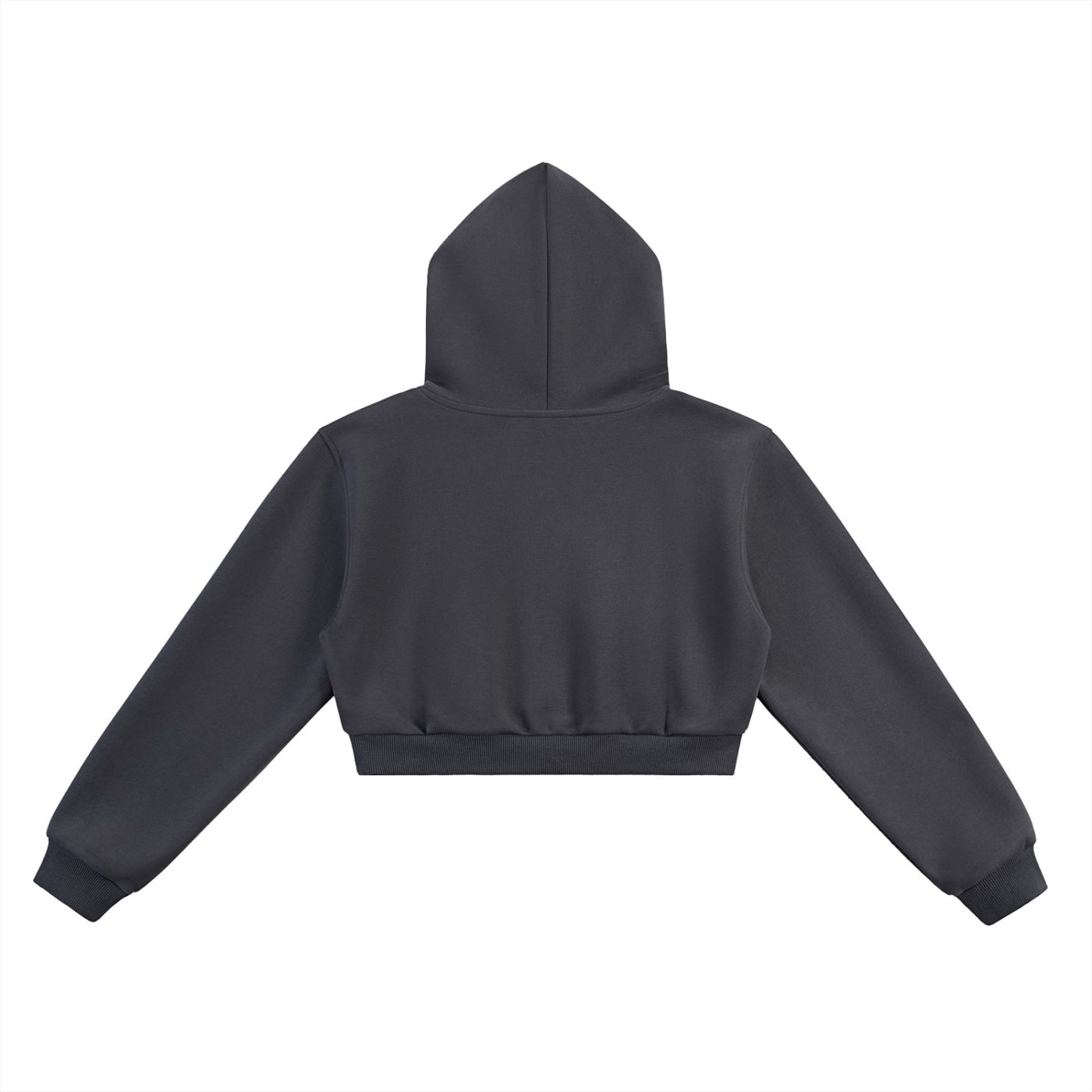 Cerber™ BRAIR