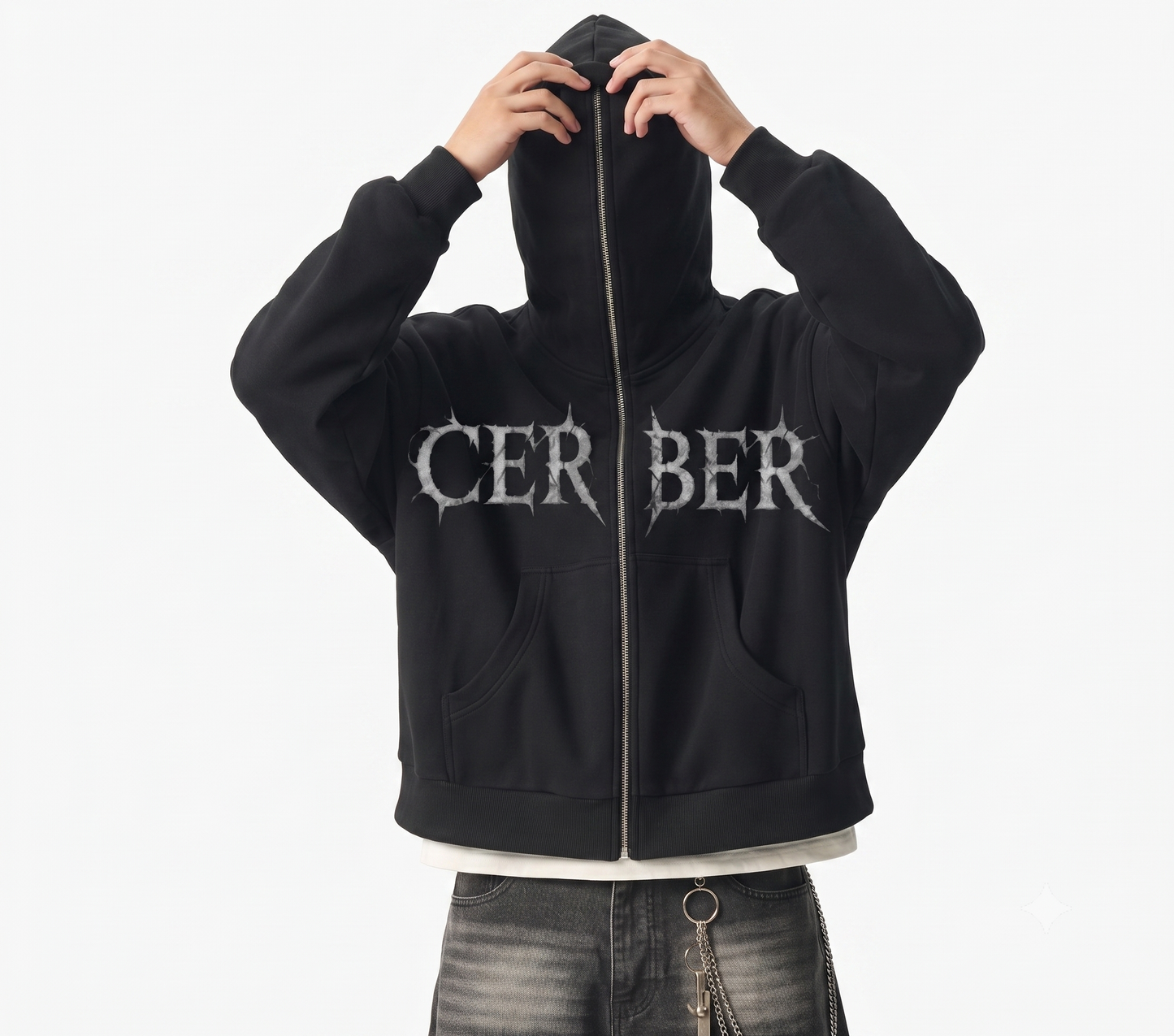 Cerber™ TRINITY