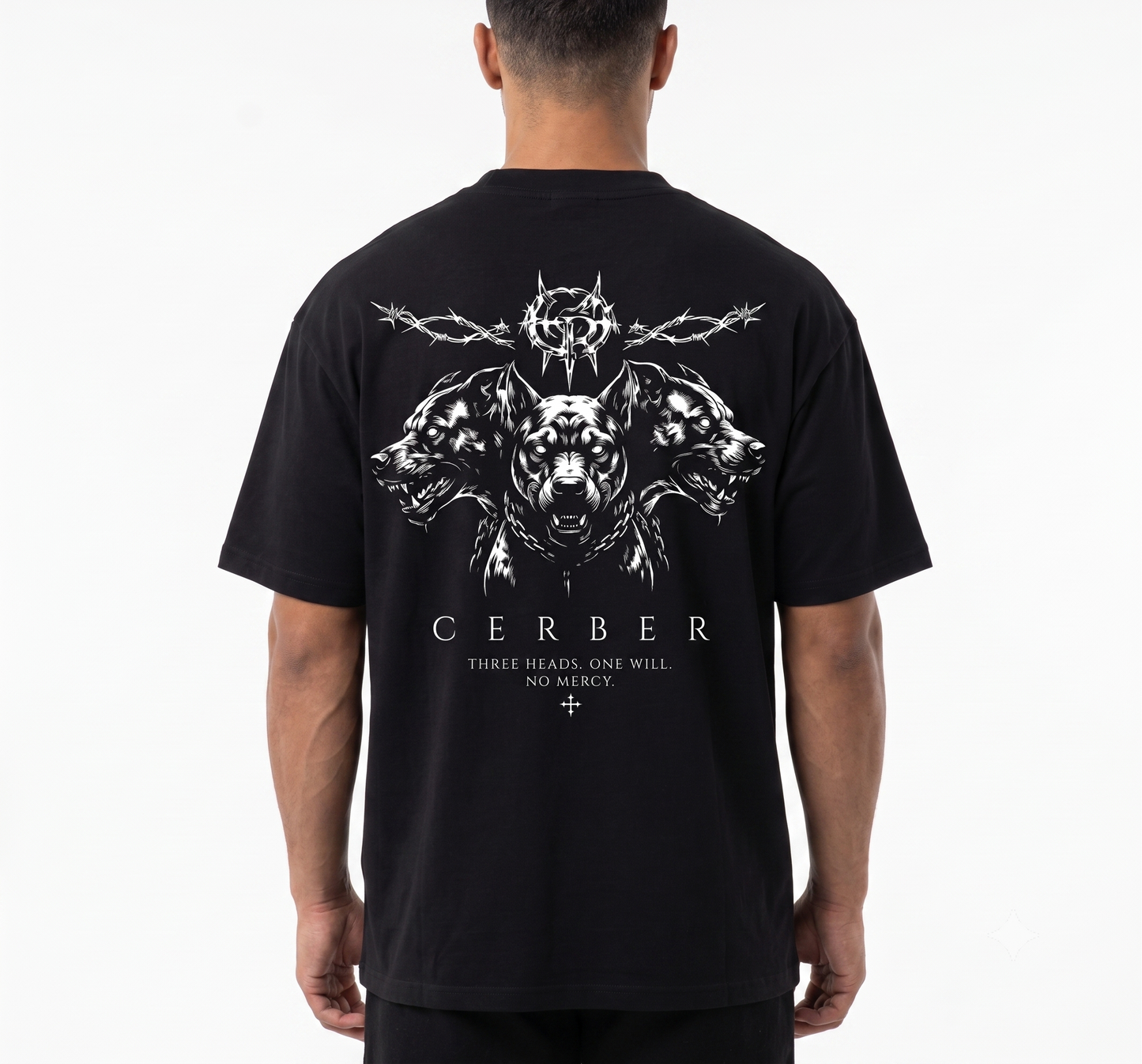 Cerber™ TRIAD