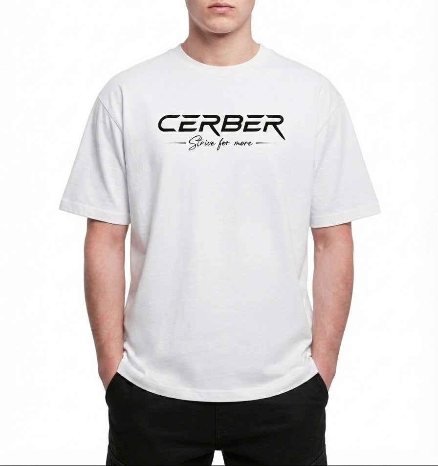 Cerber™ ASCENT