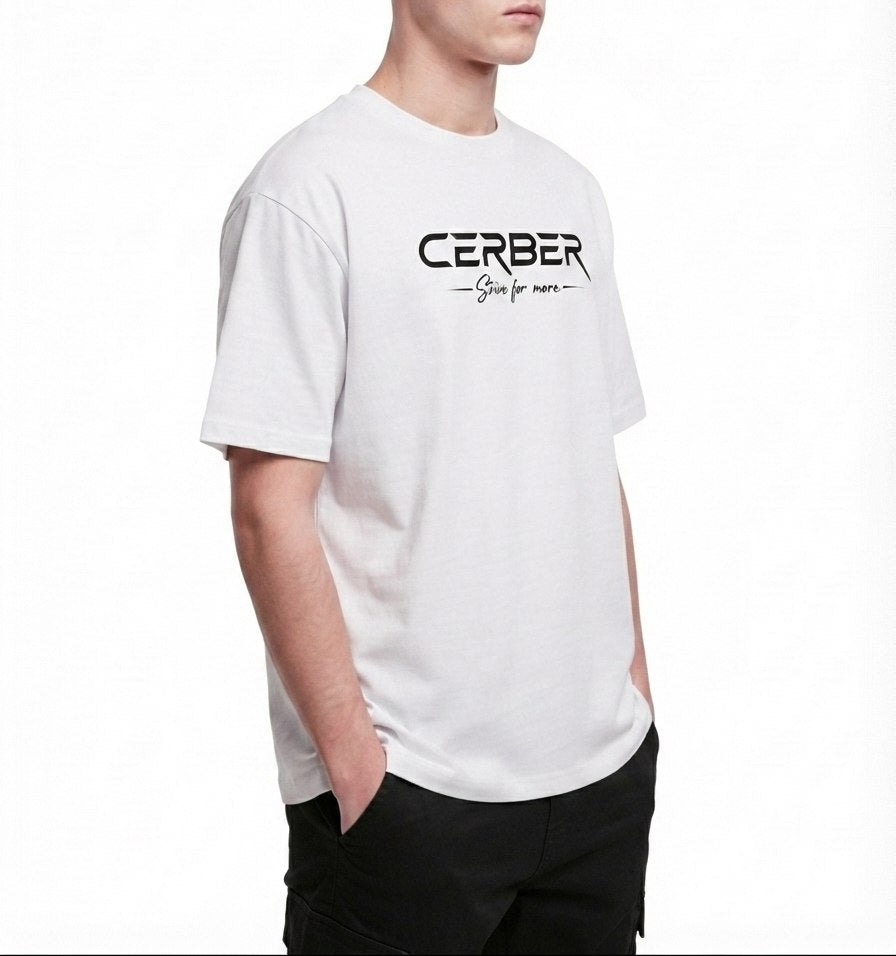 Cerber™ ASCENT