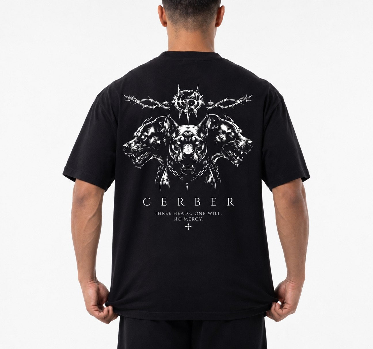 Cerber TRIAD