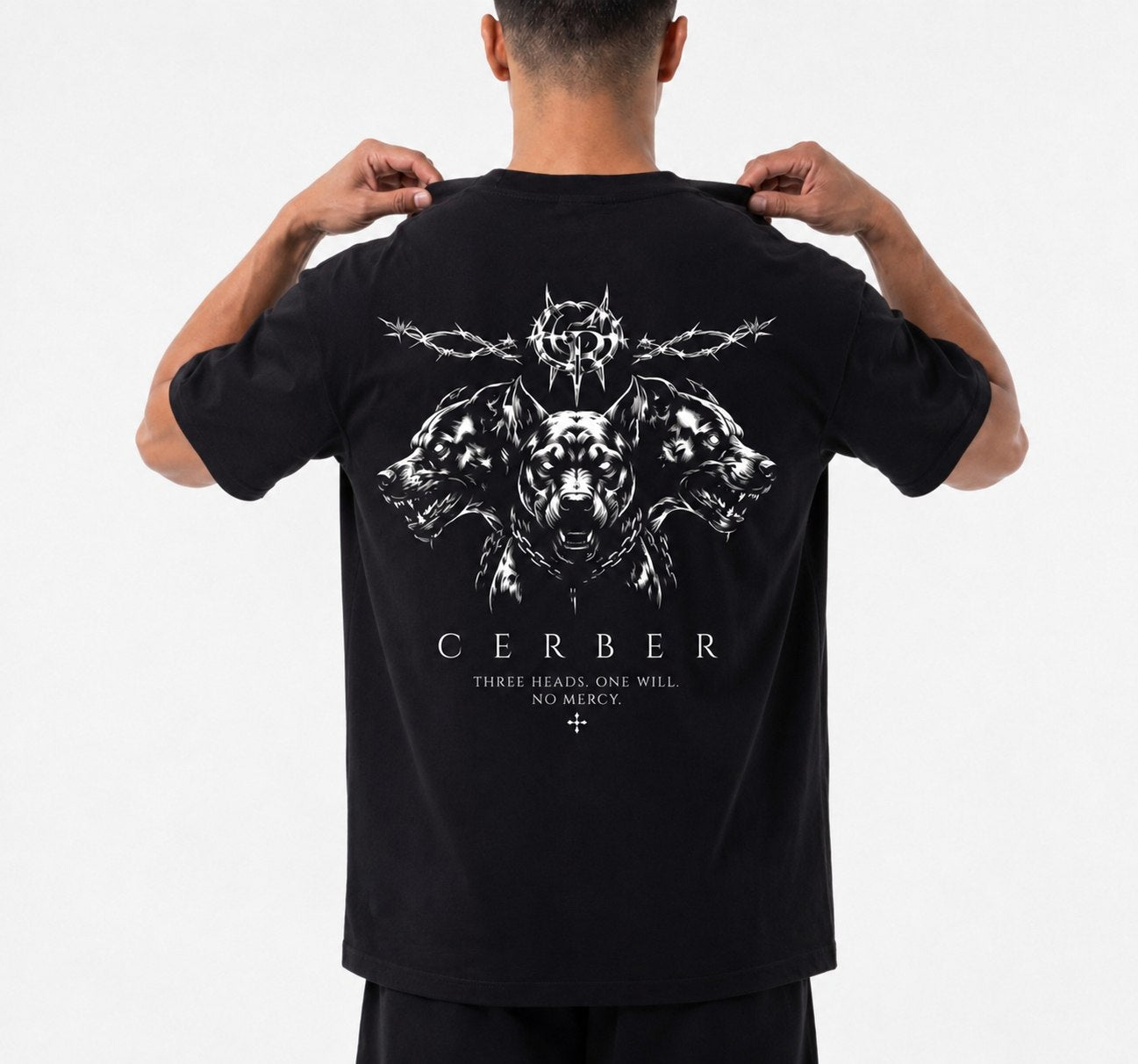 Cerber TRIAD